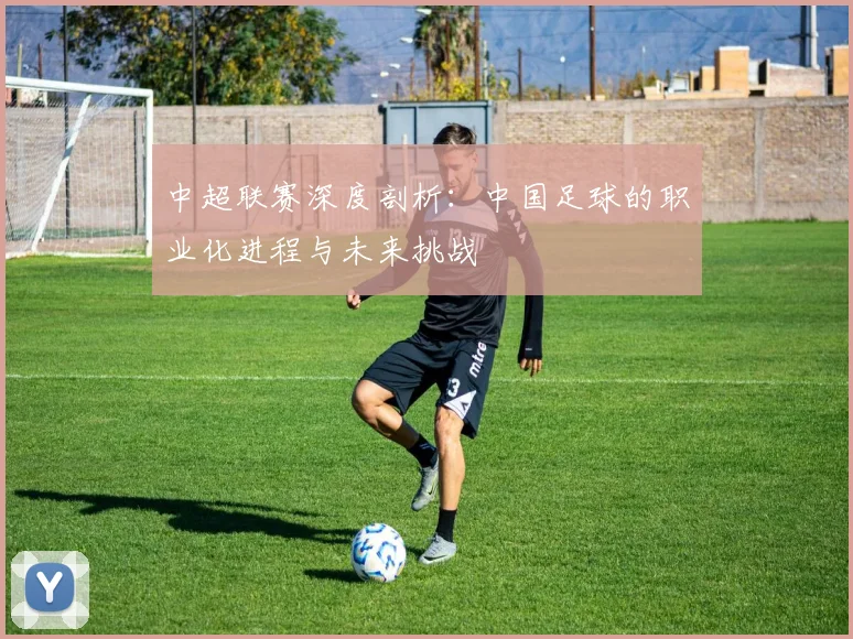 中超联赛深度剖析：中国足球的职业化进程与未来挑战