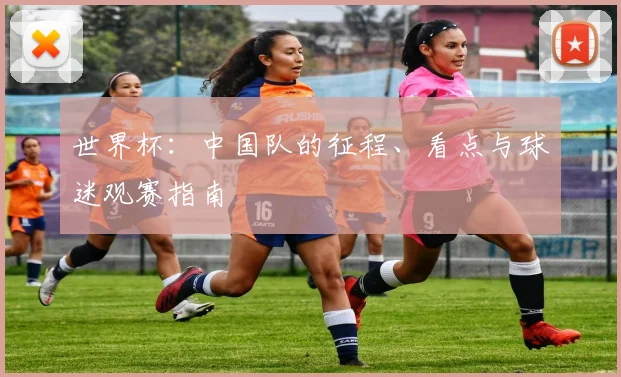世界杯：中国队的征程、看点与球迷观赛指南